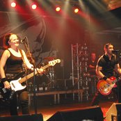 Broilers - List pictures