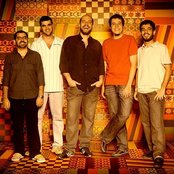 Casuarina - List pictures