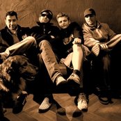 Suffer - List pictures