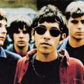 Shed Seven - List pictures