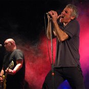 Buitres - List pictures