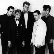 The Suburbs - List pictures