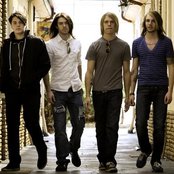 Tickle Me Pink - List pictures