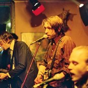 Fink - List pictures