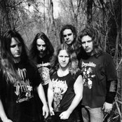 Brutality - List pictures