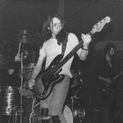 Budgie - List pictures