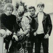 Carnage - List pictures