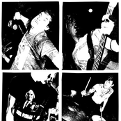 Night Birds - List pictures