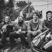 Violent Soho - List pictures
