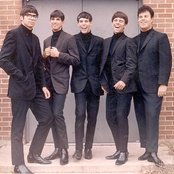 The Fifth Estate - List pictures