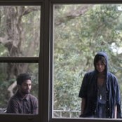 Tigertown - List pictures