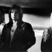 Survivor - List pictures