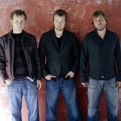 Doves - List pictures