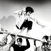 The Growlers - List pictures