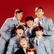 Cowsills - List pictures