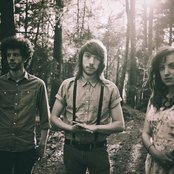 Meadowlark - List pictures