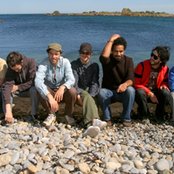 The Black Seeds - List pictures