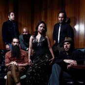 Dengue Fever - List pictures