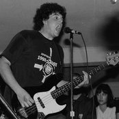 The Whip - List pictures