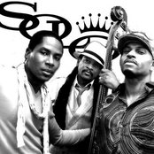 Solo - List pictures