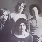 Rare Bird - List pictures