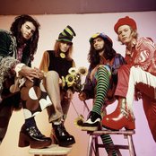 Jellyfish - List pictures