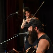 Brown Bird - List pictures