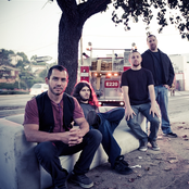 Cynic - List pictures