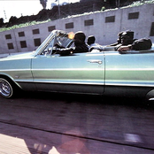 King T - List pictures