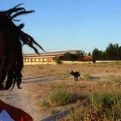 Morodo - List pictures