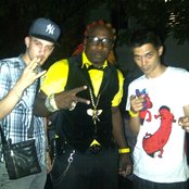 Elephant Man - List pictures