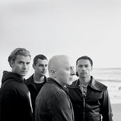 Bush - List pictures