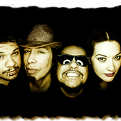 Tito & Tarantula - List pictures