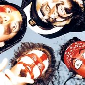 Pinkly Smooth - List pictures