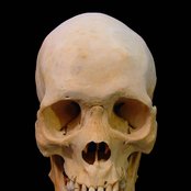 Black Hole Alien - List pictures