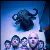 Bear Vs. Shark - List pictures