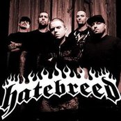 Hatebreed - List pictures
