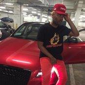 Pollari - List pictures