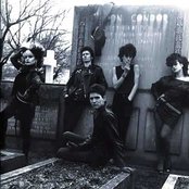 Alaska Y Los Pegamoides - List pictures