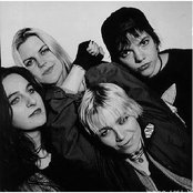 7 Year Bitch - List pictures