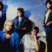 Survivor - List pictures