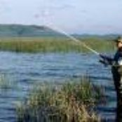 Vrcak - List pictures