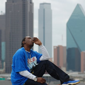 Mr. Pookie - List pictures