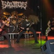 Brutus - List pictures