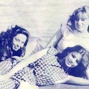 Arabesque - List pictures