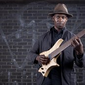 Animals As Leaders - List pictures