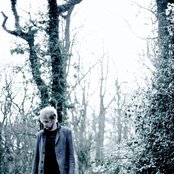 Alexander Wolfe - List pictures