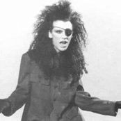 Dead Or Alive - List pictures