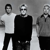 Feeder - List pictures