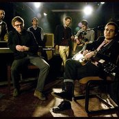 White Rabbits - List pictures